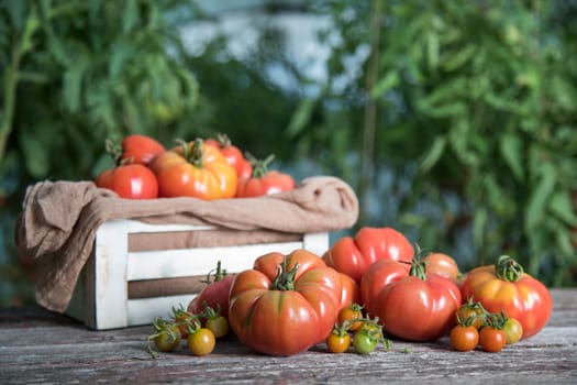 Fresh tomatoes in a wooden crate