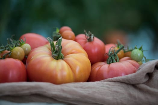 Fresh tomatoes in a wooden crate