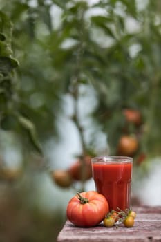 Fresh tomato juice, on a wooden background