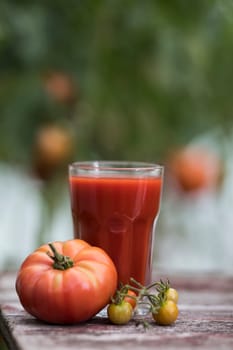 Fresh tomato juice, on a wooden background