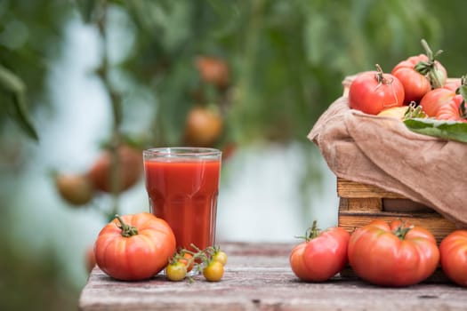 Fresh red tomato juice, on a wooden background