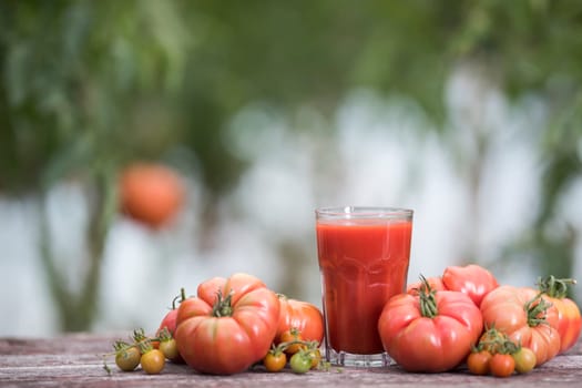 Fresh tomato juice, on a wooden background