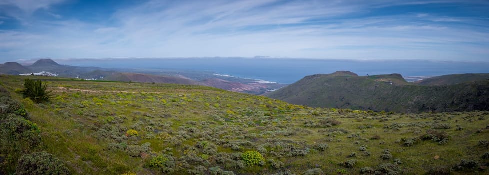 Panoramic Lanzarote landscape during springtime. Volcanic environment on the Canary Islands