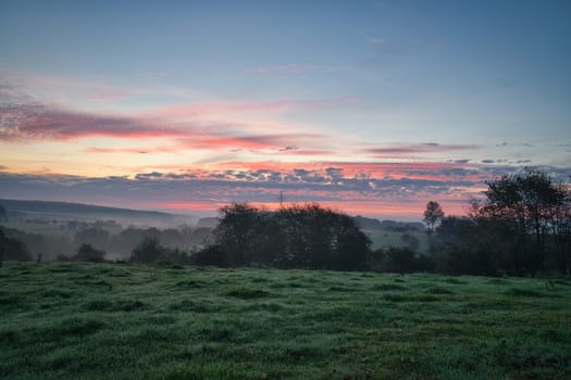 Sunrise over a neighboring forest with meadow in the foreground. Pasture landscape with tree standing alone at dawn. Landscape photo in Saarland