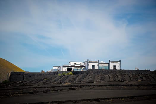 La Geria, Lanzarote, Spain, March 2023: View on bogeda La Geria and the vineyard.