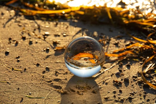 A glass ball lies in the sand in front of the waves, beach with algae and the sea and the setting sun are reflected in the ball