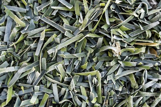 Detail of green Christmas decoration, plastic tree leaves