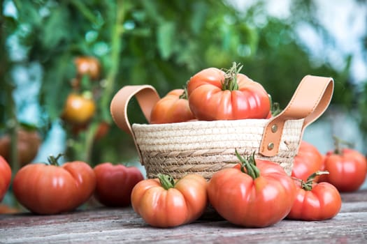 Vegetables, Tomatoes,  on desk in garden
