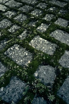 Floor detail of old cobblestones in a pedestrian walkway