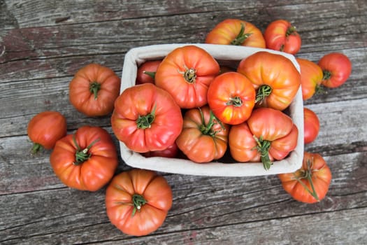 Vegetables, tomatoes on wooden desk