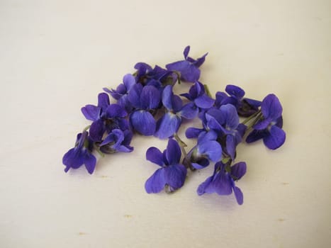 Sweet violets on a wooden board