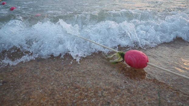 Buoys on a rope near sea water. The buoys are pink restraints to alert people to the depth of the water. Rescue of the drowning. Delimiting a place on a sandy beach between hotels. Wave with bubbles