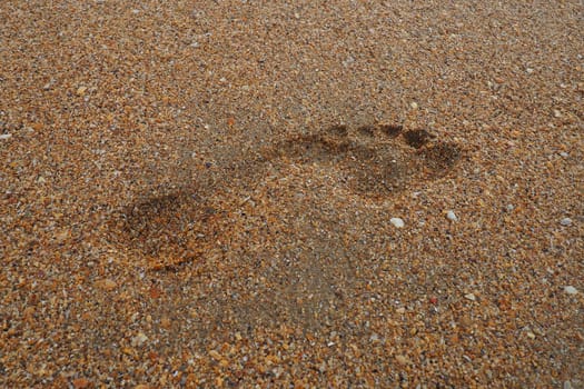 Footprint at sunset with wet sand. Sandy wet beach and footsteps. Healing coarse quartz sand with shells. Vityazevo, Anapa, Krasnodar Territory, Russia. Tourist footprints.
