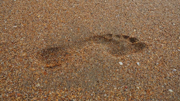 Footprint at sunset with wet sand. Sandy wet beach and footsteps. Healing coarse quartz sand with shells. Vityazevo, Anapa, Krasnodar Territory, Russia. Tourist footprints.