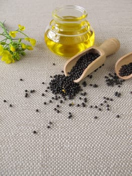 Rapeseed oil and rapeseed