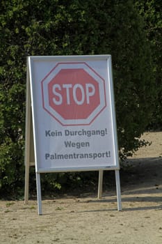 Stop palm transport in Bad Pyrmont