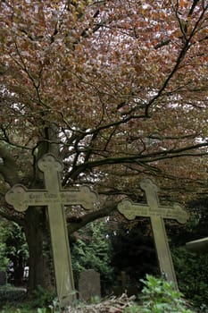 Old cemetery in Hessisch Oldendorf