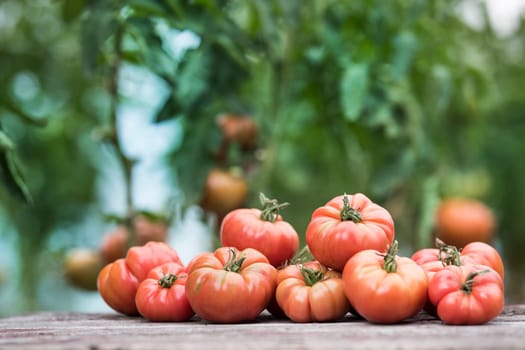 Vegetables, tomatoes on wooden desk