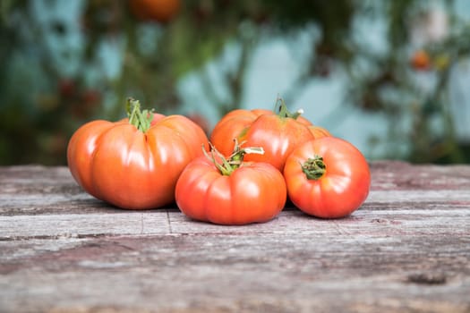 Vegetables, tomatoes on wooden desk