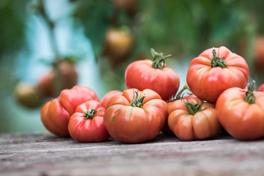 Vegetables, tomatoes on wooden desk