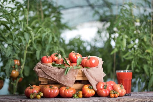 Fresh tomato juice, on a wooden background