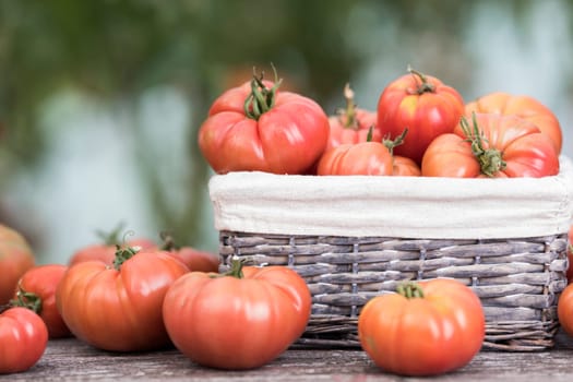 Vegetables, Tomatoes,  on desk in garden