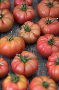 Organic food, Free red vegetables of tomato