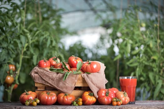 Fresh red tomato juice, on a wooden background