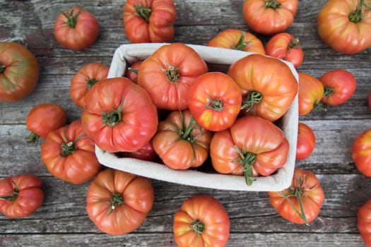 Vegetables, Tomatoes,  on desk in garden