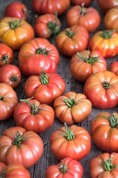 Red Tomatoes in a Greenhouse, organic food