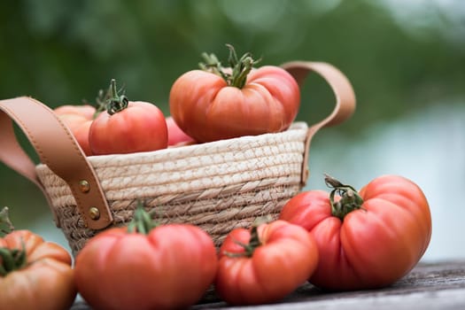 Vegetables, Tomatoes,  on desk in garden