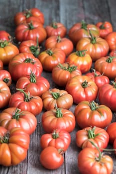 Tomatoes vegetable garden, organic products