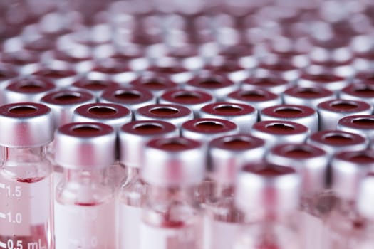 Ampoules with covid 19 vaccine