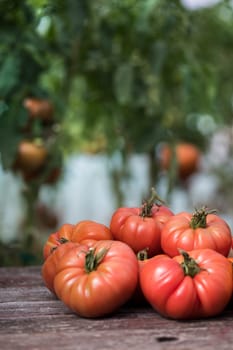 Vegetables, tomatoes on wooden desk