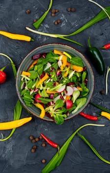 Vitamin spring green salad with vegetables and bear leek or wild garlic. Copy space