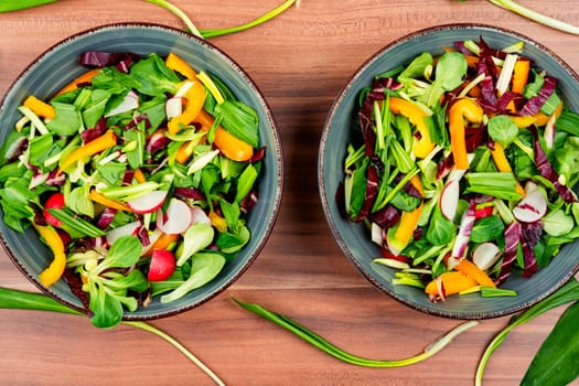 Vitamin spring green salad with vegetables and bear leek or wild garlic. Copy space