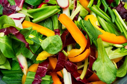 Vitamin spring green salad with vegetables and bear leek or wild garlic. Copy space
