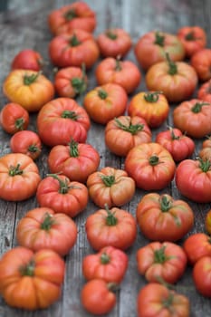 Vegetables, Tomatoes,  on desk in garden