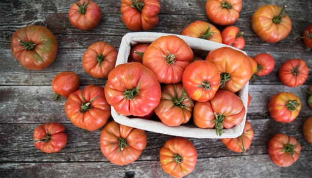Vegetables, Tomatoes,  on desk in garden