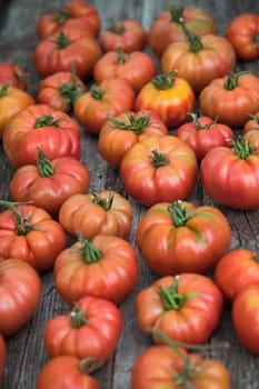 Vegetables, Tomatoes,  on desk in garden