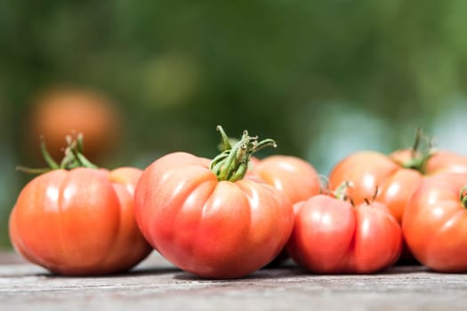 Vegetables, Tomatoes,  on desk in garden