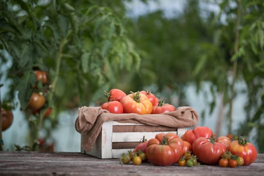 Vegetables, tomatoes on wooden desk