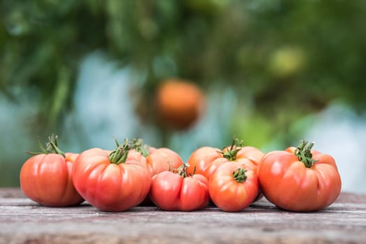 Vegetables, tomatoes on wooden desk