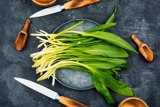 Ramson or wild garlic on a table. Wild garlic, as a spice for meat, fish and vegetable dishes. Copy space