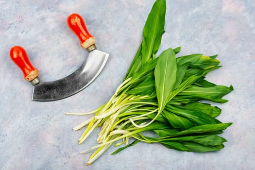 Ramson or wild garlic on a table. Wild garlic, as a spice for meat, fish and vegetable dishes. Copy space