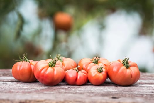 Vegetables, tomatoes on wooden desk