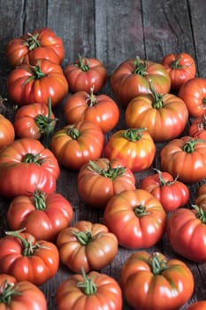 Vegetables, Tomatoes,  on desk in garden