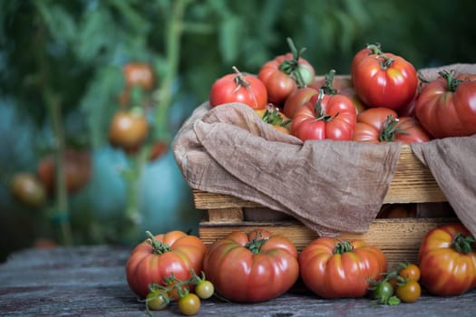 Vegetables, tomatoes on wooden desk