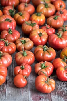 Tomatoes vegetable garden, organic products