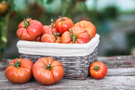 Vegetables, Tomatoes,  on desk in garden
